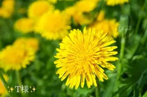 写メ日記 小山真帆 2/7(土) 20:14