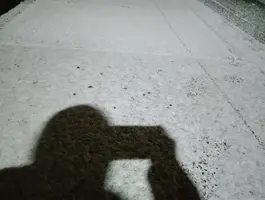 写メ日記 さくら 2/8(日) 22:22