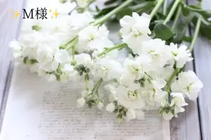 写メ日記 小山真帆 2/10(火) 08:06