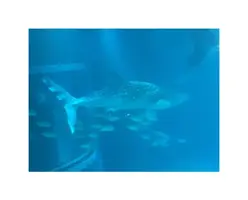 写メ日記 かな 2/11(水) 18:31