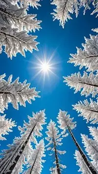 写メ日記 ともこ 2/12(木) 10:08