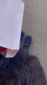 写メ日記 なぎさ 2/14(土) 14:32