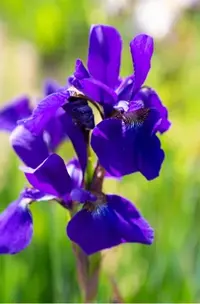 写メ日記 あや 2/17(火) 19:30