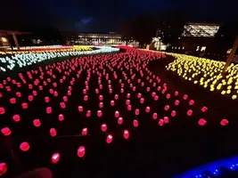 写メ日記 まこ 2/21(土) 15:34