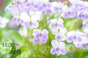 写メ日記 小山真帆 2/22(日) 09:38