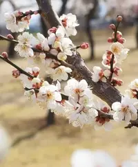 写メ日記 川嶋れい 2/22(日) 10:54