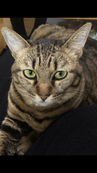 写メ日記 まい 2/22(日) 22:22