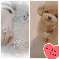 写メ日記 つばき 2/23(月) 07:50