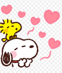 写メ日記 藤田ゆうか 2/23(月) 17:54