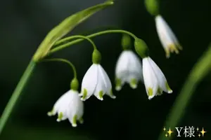写メ日記 小山真帆 2/23(月) 23:44