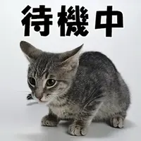 写メ日記 三上りこ 2/24(火) 13:44