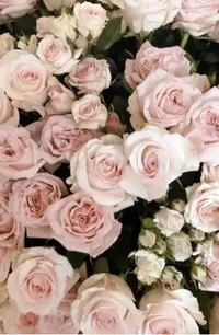 写メ日記 みわ 2/25(水) 12:36