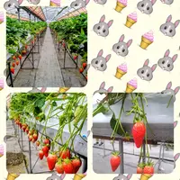 写メ日記 篠原尚美 2/25(水) 17:06