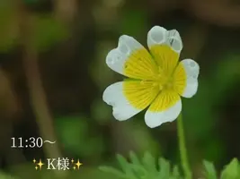 写メ日記 小山真帆 2/26(木) 21:22