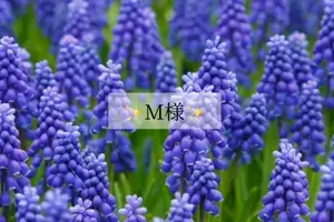 写メ日記 小山真帆 2/27(金) 07:34