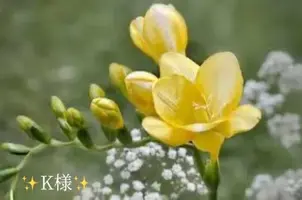 写メ日記 小山真帆 2/28(土) 22:08