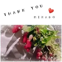 写メ日記 みかど 3/1(日) 20:32