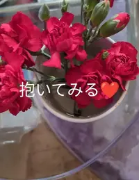 写メ日記 あさみ 3/1(日) 23:37