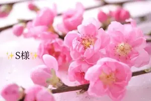 写メ日記 小山真帆 3/3(火) 22:54