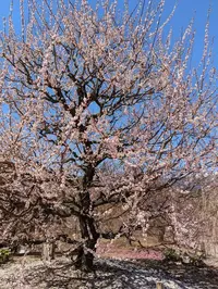 写メ日記 あさみ 3/5(木) 20:59