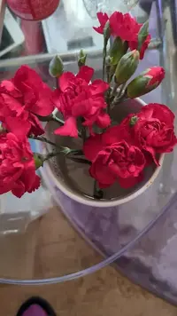 写メ日記 あさみ 3/6(金) 18:26