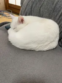 写メ日記 くいん 3/13(金) 18:54