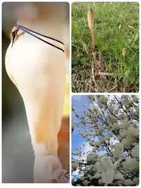 写メ日記 いちか 3/17(火) 09:41