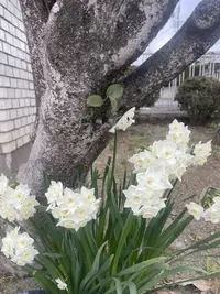 写メ日記 アーシャ 3/19(木) 09:31