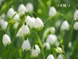 写メ日記 小山真帆 3/20(金) 08:12