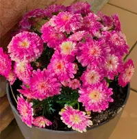 写メ日記 まり 3/22(日) 08:34