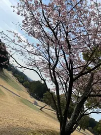 写メ日記 さき 3/24(火) 10:15