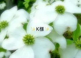 写メ日記 小山真帆 3/24(火) 11:40