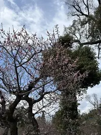 写メ日記 みき 3/25(水) 18:46