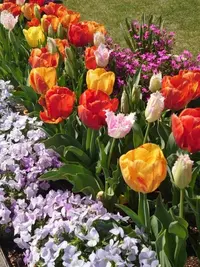 写メ日記 ゆら 3/30(月) 11:03