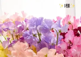 写メ日記 小山真帆 3/31(火) 16:24