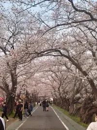 写メ日記 ゆら 3/31(火) 17:23