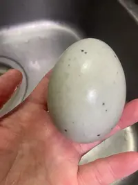 写メ日記 えま 3/31(火) 19:53