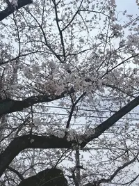 写メ日記 彩星(あやせ) 4/2(木) 23:32