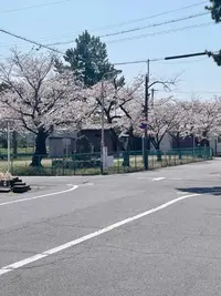 写メ日記 みお 4/4(土) 13:00