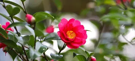 写メ日記 大野つばき 4/7(火) 07:10