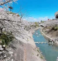 写メ日記 あゆみ 4/7(火) 17:01