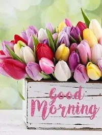 写メ日記 ともこ 4/8(水) 10:07