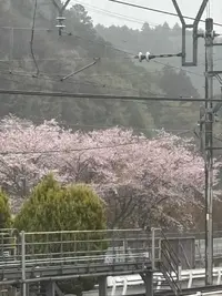 写メ日記 NH かこ 4/8(水) 12:32