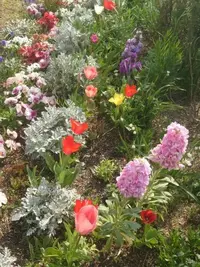 写メ日記 ゆず 4/12(日) 12:21