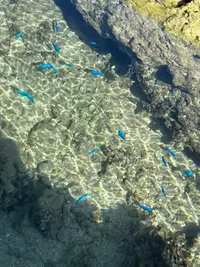 写メ日記 ねね 4/12(日) 14:05