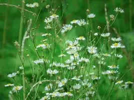 写メ日記 じゅんな 4/22(水) 13:33