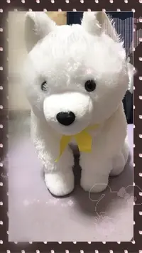 写メ日記 三上りこ 4/26(日) 08:58