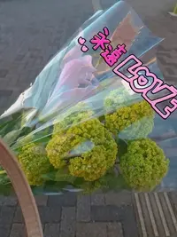 写メ日記 宮本恵美子 4/27(月) 18:00