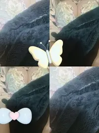 写メ日記 宮本恵美子 4/28(火) 13:30