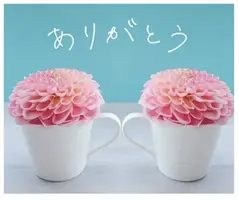 写メ日記 のあ 4/29(水) 14:48